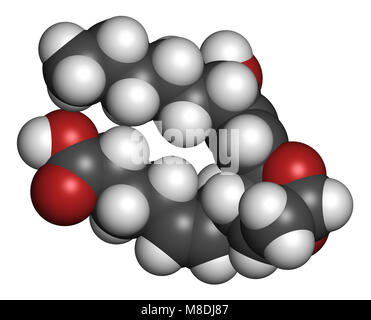 Le thromboxane A2 (TXA2) molécule. Le rendu 3D. Les atomes sont représentés comme des sphères classiques avec codage couleur : blanc (hydrogène), carbone (gris), l'oxygène Banque D'Images