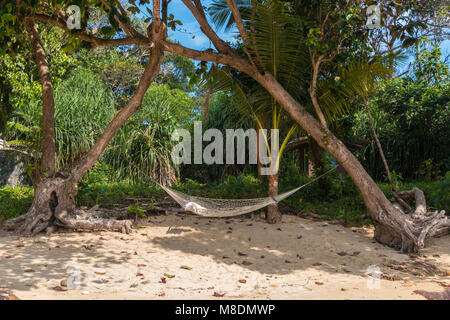 Un hamac en bonneterie, suspendu entre deux arbres, à côté de la plage sous les tropiques. Dans l'arrière-plan sont les arbres ombragés. Banque D'Images