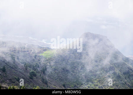 Rouler dans la brume près de Arguayo, à Tenerife, Îles Canaries, Espagne Banque D'Images