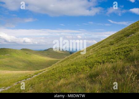 Polonina Wetlinska (chaîne des Carpates) pâturage en Bieszczady, Pologne Banque D'Images