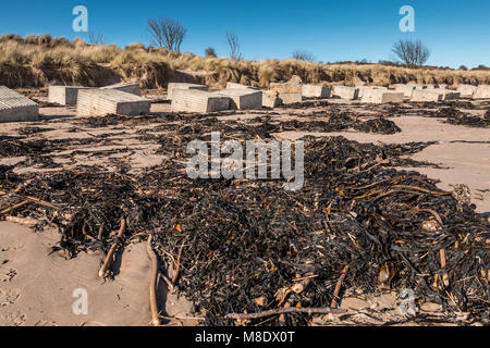 Les algues et les défenses maritimes DE LA SECONDE GUERRE MONDIALE sur la plage de Blackpool, Lancashire Coast AONB, UK Banque D'Images