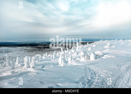 Magnifique paysage d'hiver dans le nord de la Carélie en Russie. Vue depuis la montagne Kivakka sur la forêt étendues Banque D'Images