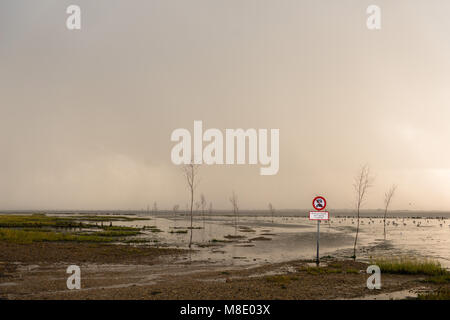 La signalisation routière de la voitures avertissement dangers de la conduite sur le sol de la mer, île de la mer du Nord, Mandø UNESCO du patrimoine mondial naturel, Ribe, Jutland, Danemark Banque D'Images