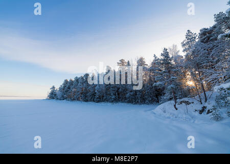 Lac gelé et recouvert de neige forest Banque D'Images