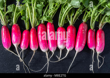 Radis frais, légumes bio de l'agriculture locale sur fond noir Banque D'Images