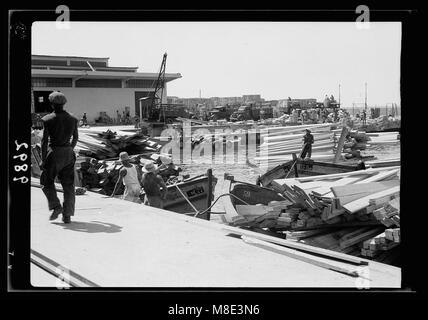 Cette photographie représente une scène animée au port de tel-Aviv, avec du bois déchargé pour les boîtes orange. L'image met en évidence les activités commerciales du port au début du XXe siècle de tel-Aviv. Banque D'Images