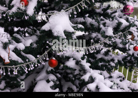 Arbre de Noël avec des ornements colorés isolated on white Banque D'Images