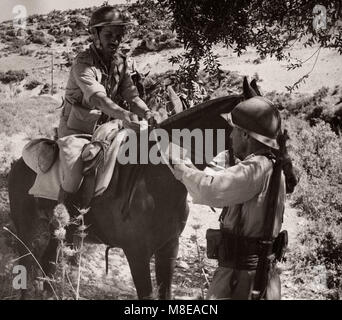 1943 Syrie - la Cisjordanie ou Trans-Jordanian TJFF régiment de l'armée de force Frontière Banque D'Images