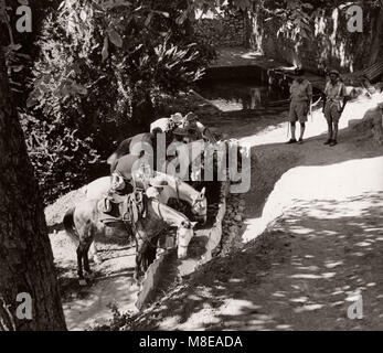 1943 Syrie - la Cisjordanie ou Trans-Jordanian TJFF régiment de l'armée de force Frontière Banque D'Images