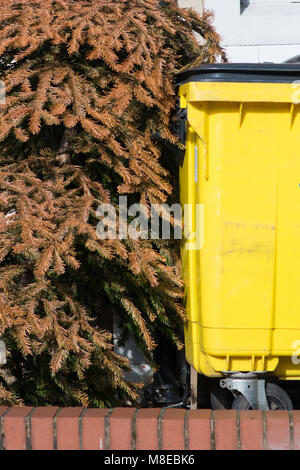 Arbre de Noël à l'extérieur du bâtiment de gauche à l'envers leaning against wall à côté de poubelles jaunes Banque D'Images