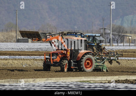 Hamchang, Indonésie, Corée du Sud. 17Th Mar, 2018. 17 mars, 2018-Hamchang Korea-Farmers Sud, plants de pommes de terre et oignon de printemps avec un équipement agricole au terrain dans Hamchang, au sud de Séoul (environ 170km) Indonésie, Corée du sud de la province. Les agriculteurs sont occupés avec leur travail au début du printemps. Credit : Ryu Seung Il/ZUMA/Alamy Fil Live News Banque D'Images