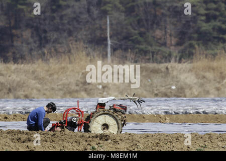 Hamchang, Indonésie, Corée du Sud. 17Th Mar, 2018. 17 mars, 2018-Hamchang Korea-Farmers Sud, plants de pommes de terre et oignon de printemps avec un équipement agricole au terrain dans Hamchang, au sud de Séoul (environ 170km) Indonésie, Corée du sud de la province. Les agriculteurs sont occupés avec leur travail au début du printemps. Credit : Ryu Seung Il/ZUMA/Alamy Fil Live News Banque D'Images