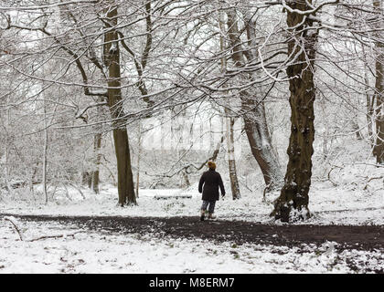 Gravesend, Royaume-Uni. 17 mars , 2018. Une femme marche à travers les bois enneigés Cobham. La neige est tombée à Cobham woods juste à l'extérieur de Gravesend dans le Kent comme la Mini bête de l'Est apporte le gel des conditions météorologiques. Rob Powell/Alamy Live News Banque D'Images