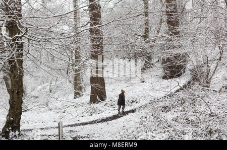 Gravesend, Royaume-Uni. 17 mars , 2018. Une femme marche à travers les bois enneigés Cobham. La neige est tombée à Cobham woods juste à l'extérieur de Gravesend dans le Kent comme la Mini bête de l'Est apporte le gel des conditions météorologiques. Rob Powell/Alamy Live News Banque D'Images