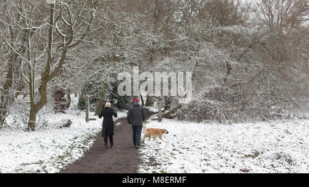 Gravesend, Royaume-Uni. 17 mars , 2018. Les promeneurs de chiens profiter de jolies Cobham woods dans la neige. La neige est tombée à Cobham woods juste à l'extérieur de Gravesend dans le Kent comme la Mini bête de l'Est apporte le gel des conditions météorologiques. Rob Powell/Alamy Live News Banque D'Images