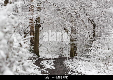 Gravesend, Royaume-Uni. 17 mars , 2018. La neige est tombée à Cobham woods juste à l'extérieur de Gravesend dans le Kent comme la Mini bête de l'Est apporte le gel des conditions météorologiques. Rob Powell/Alamy Live News Banque D'Images