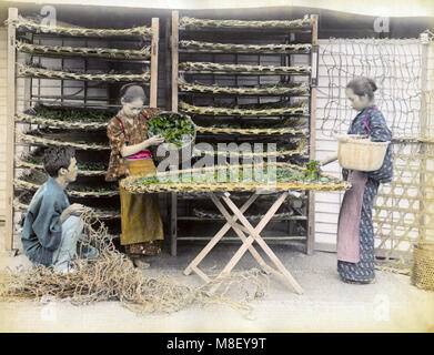 C.1880 s Japon - travailler avec des vers à soie Banque D'Images