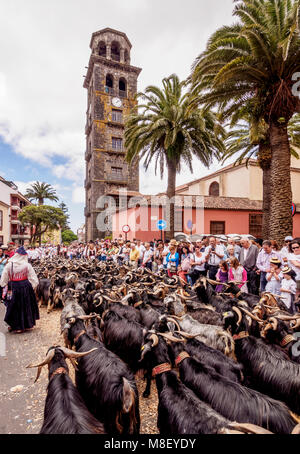 Romeria de San Benito de Abad, fête de rue traditionnelles, la Concepcion, Église San Cristobal de La Laguna, Tenerife, Îles Canaries, Espagne Banque D'Images