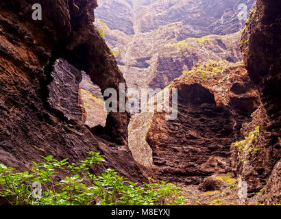 Barranco de Masca, gorge, massif de Teno, l'île de Tenerife, Canaries, Espagne Banque D'Images