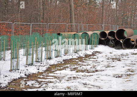 Tubes en acier à des plants de l'arbre à côté du site de construction Banque D'Images