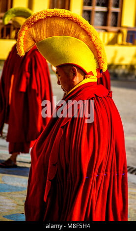 Bhudhist avec moine tibétain chapeau jaune passe pour la prière, Monastère Gyuto, Dharmashala, Himachal Pradesh, Inde Banque D'Images