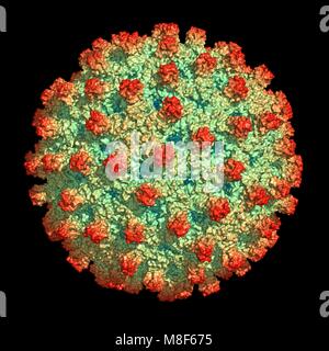 Représentation d'une particule virale de l'hépatite B Banque D'Images