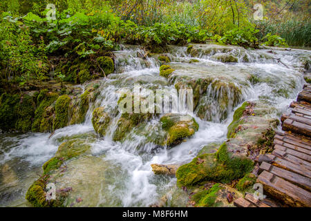 Chutes d'eau dans le Parc National de Plitvice, Croatie/ Cascades Banque D'Images