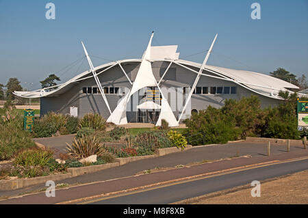 Musée de Sandown, Dinosaur Isle, Île de Wight, I de W, Hampshire, Angleterre, Banque D'Images