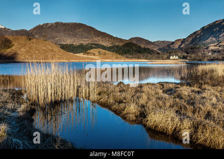 Loch Shiel tôt le matin, à partir de près de Glenfinnan Monument, Glenfinnan, Lochabar, Highlands, Scotland, UK Banque D'Images