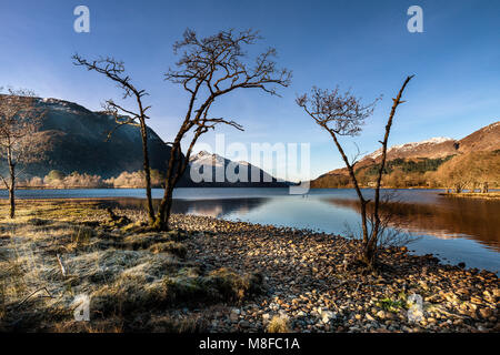 Loch Shiel tôt le matin, à partir de près de Glenfinnan Monument, Glenfinnan, Lochabar, Highlands, Scotland, UK Banque D'Images