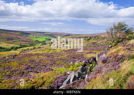 Westerdale North York Moors North Yorkshire Banque D'Images