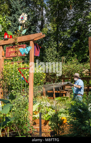 Man main l'arrosage des plantes dans le jardin d'enfants du jardin de démonstration de Bellevue. Banque D'Images