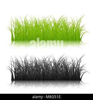 Silhouette noire et verte grass isolated on white background. Vector illustration Illustration de Vecteur