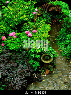 Chemin de jardin, Cypress Garden, Mill Valley, Californie Banque D'Images