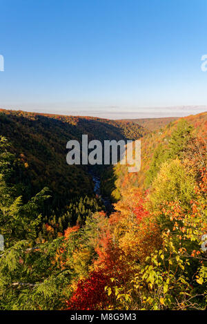 Vista de Lindy Point dans le parc d'état de Blackwater à l'automne Banque D'Images