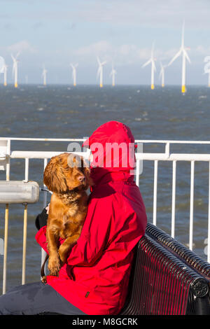 Une partie de l'éolien offshore Walney entre Cumbria et l'île de Man en mer d'Irlande, Royaume-Uni, vu de l'Ile de Man ferry. Banque D'Images