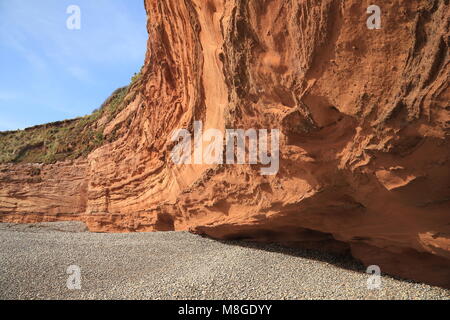 Les falaises de grès rouge sur la plage de galets de Ladram Bay dans l'est du Devon Banque D'Images