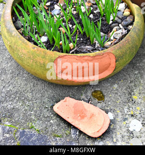 Côté de forme incurvée de l'argile en terre cuite pot de jardin & endommagée brisée en raison de l'humidité et le gel d'hiver froid comme la glace en expansion England UK Banque D'Images