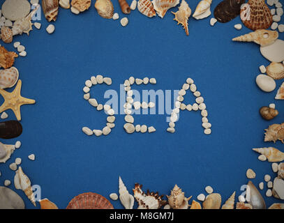 Mise à plat. Inscription à partir de la mer de pierres, de coquillages du châssis de différents types sur un fond bleu. Les coquillages et d'étoiles sur un fond bleu foncé. Banque D'Images