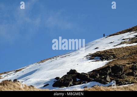 Homme seul randonneur grimpant les Wainwright 'Le Knott' dans la neige de la côte à côte dans le Parc National du Lake District, Cumbria, England, UK. Banque D'Images