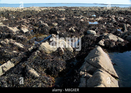 Karnac, Bretange, France Banque D'Images