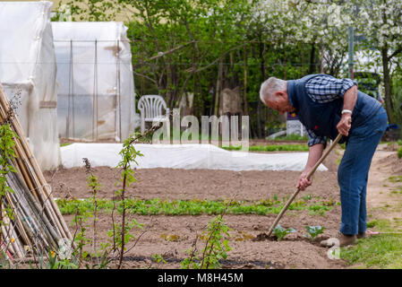 Groupe de parcelles d'allotissement où les terres sont caniées pour les retraités de cultiver là-bas propres légumes comme passe-temps - trente, le nord de l'Italie, l'Europe Banque D'Images