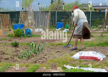 Groupe de parcelles d'allotissement où les terres sont caniées pour les retraités de cultiver là-bas propres légumes comme passe-temps - trente, le nord de l'Italie, l'Europe Banque D'Images