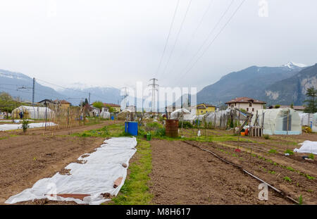 Groupe de parcelles d'allotissement où les terres sont caniées pour les retraités de cultiver là-bas propres légumes comme passe-temps - trente, le nord de l'Italie, l'Europe Banque D'Images