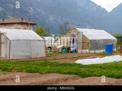 Groupe de parcelles d'allotissement où les terres sont caniées pour les retraités de cultiver là-bas propres légumes comme passe-temps - trente, le nord de l'Italie, l'Europe Banque D'Images