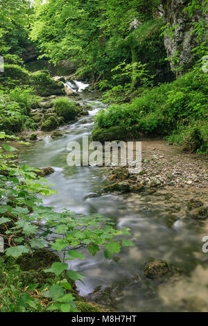 Gordale Beck Janets Foss Waterfall Malham Craven Yorkshire du Nord en Angleterre Banque D'Images