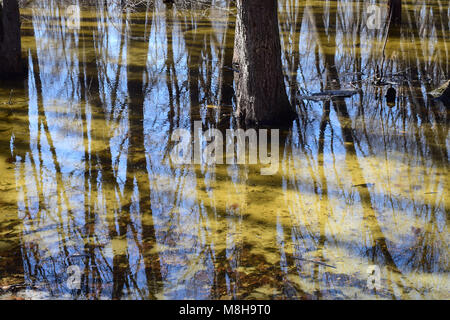 Réflexion sur l'eau - résumé naturellement et belle Banque D'Images