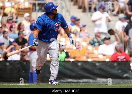 Glendale, Phoenix. USA.- Dioner Navarro receptor de Chicago Cubs en el campo de entrenamiento Camelback Ranch en juego contra White Sox de Chicago.13/03/ Banque D'Images