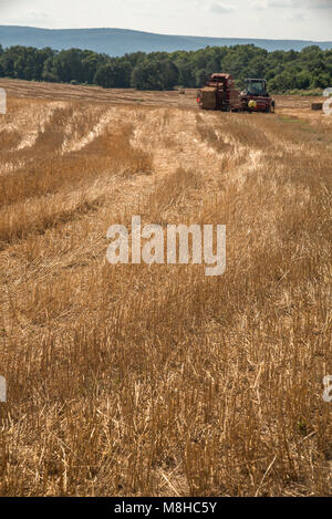 Un tracteur et hay bailer sont garées dans un champ de foin fauché prêt pour travailler le lendemain. Le premier plan est dominé par le foin fauché récemment. La zone Banque D'Images