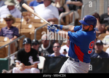 Glendale, Phoenix. USA.- Dioner Navarro receptor de Chicago Cubs en el campo de entrenamiento Camelback Ranch en juego contra White Sox de Chicago.13/03/ Banque D'Images